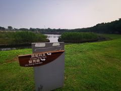 -万绿园