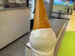-野人先生现做冰淇淋(北京悠唐购物中心店)