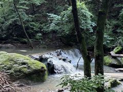 -香炉山国家森林公园