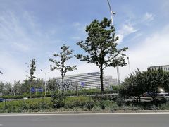 -首都医科大学附属北京天坛医院
