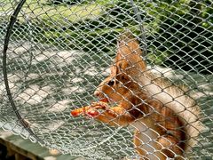 -水上乐园·欢乐世界