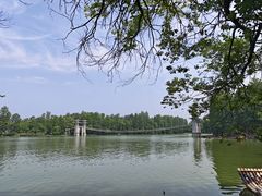 -东湖落雁景区