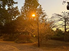 -东莞植物园