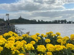 -南通濠河风景名胜区