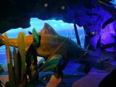 -成都浩海立方海洋公园