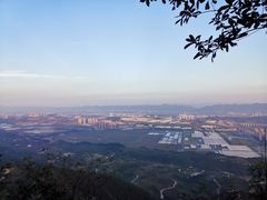 -铁山坪森林公园