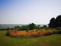 -江滩湿地公园