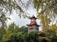 -四川大学(华西校区)