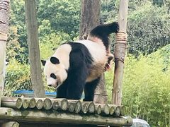 -柳州市动物园
