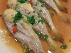 -家事无忧家政保姆育儿嫂服务(黄兴路店)