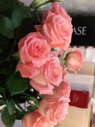 -Hair ART造型沙龙