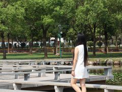 -中国西峡恐龙遗迹园