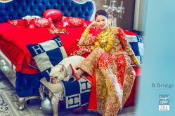 点击看大图 -B.Bridge Couture婚纱礼服(福田店)