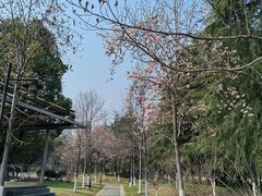 -月湖风景区