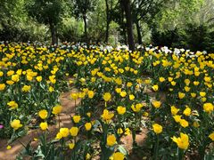 -北京国际鲜花港