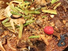 -老板恋上鱼(印象城店)