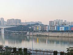 -李子坝梁山鸡(李子坝大鸡哥店)