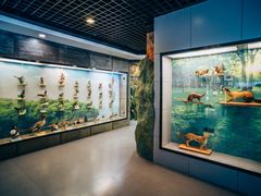 -下渚湖国家湿地公园科普馆