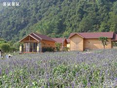 -德庆盘龙峡生态旅游区