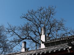-清溪水库