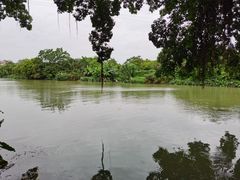 -小洲村