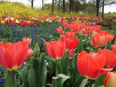 -上海植物园·停车场