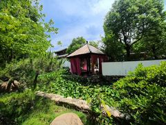 -观唐（国际）度假村温泉