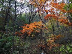 -玉渡山自然风景区