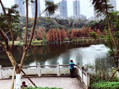 -重庆彩云湖湿地公园