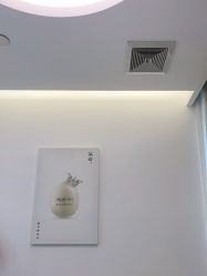 -agge蛋白医美