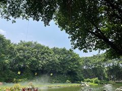 -广州长隆飞鸟乐园