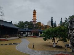 -江心屿景区