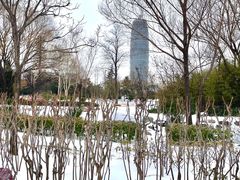 -郑东新区湿地公园