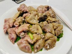 -丁老爷子苏香圆