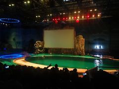 -华夏文旅海洋公园