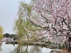 -北京西山国家森林公园