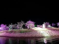 -常德桃花源景区
