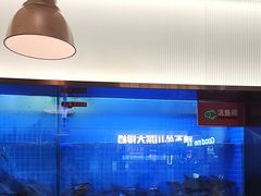 -老板恋上鱼(印象城店)