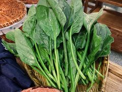菠菜-楠火锅(昆山金鹰店)