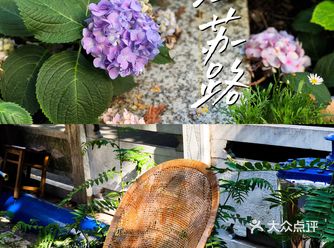 初夏南京逛吃推荐—颐和路西桥来场文艺之旅