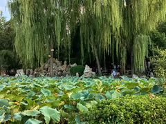 -莲池书院博物馆