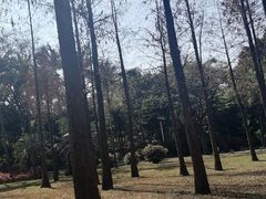 -晓港公园