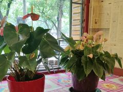 -粗粮人家·东北菜(洋桥店)