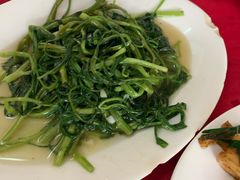 通菜-蛇口康乐快餐鱼仔档(翠苑小区店)