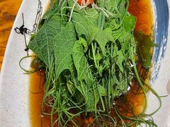 丝瓜尖-苹果树下艺术餐厅(宋庄店)