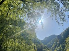 -洛阳白云山景区