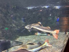 -太平洋海底世界