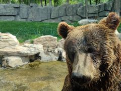 -北京野生动物园