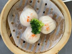 -丁老爷子苏香圆