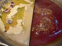 -九鼎轩脆毛肚火锅(三钢里店)